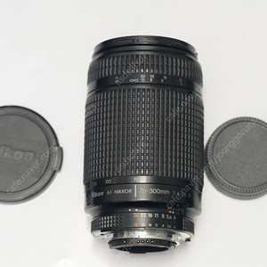니콘 AF 70-300 F4.5-5.6 D