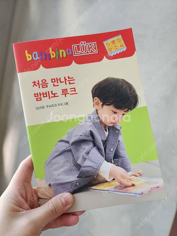 밤비노루크 키트/전용가방 (새상품)--3