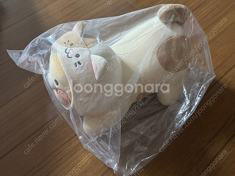 냥냥고양이 베이비 필로우 춘식이--0