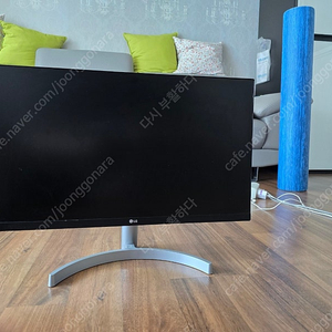 LG 24인치 모니터 24ML600SW