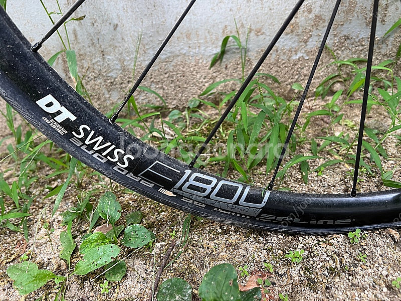 캐니언 엔듀레이스 CF SL 3XS--2