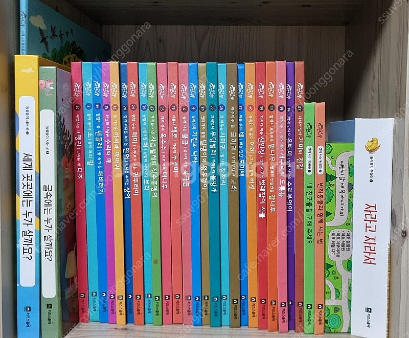 키즈스콜레 야호 자연아-택포45000원--0