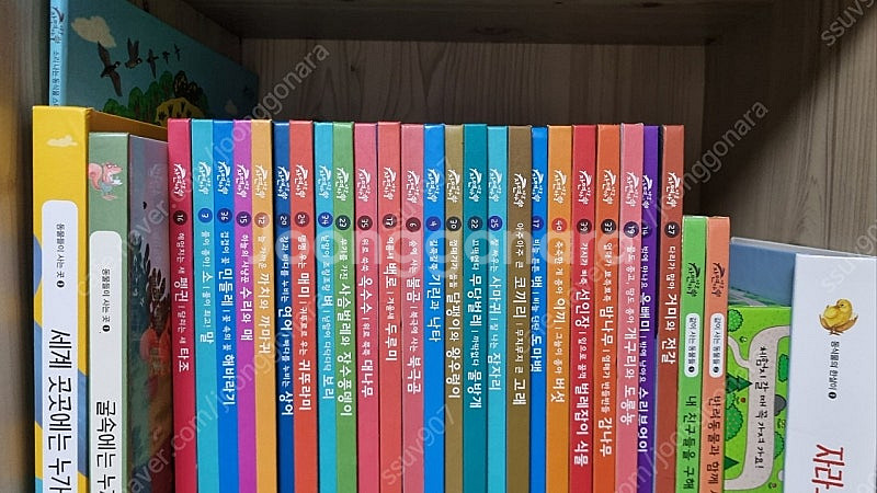 키즈스콜레 야호 자연아-택포45000원--1