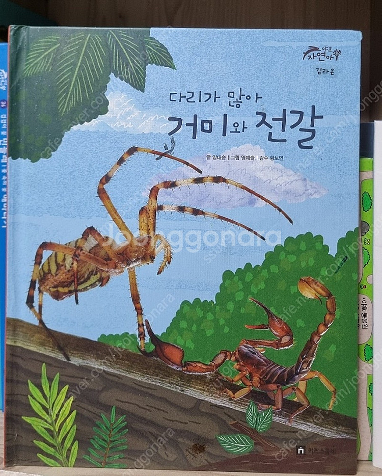 키즈스콜레 야호 자연아-택포45000원--4