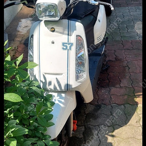 티니110 스쿠터 팝니다