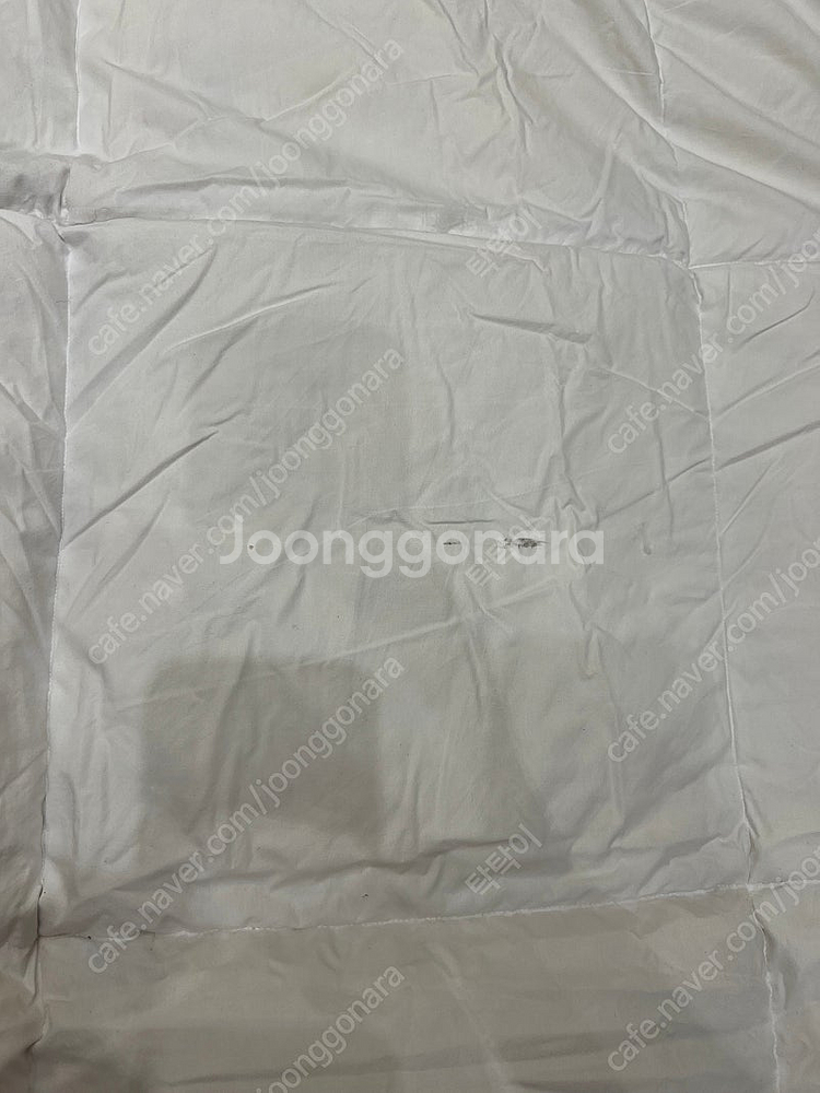 조선호텔 구스토퍼--4