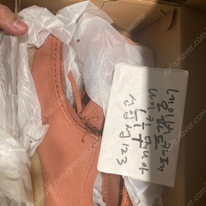 [275/9.5us]클락스 왈라비 테라코타