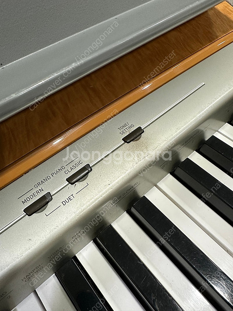 카시오 px-120 디지털피아노--5