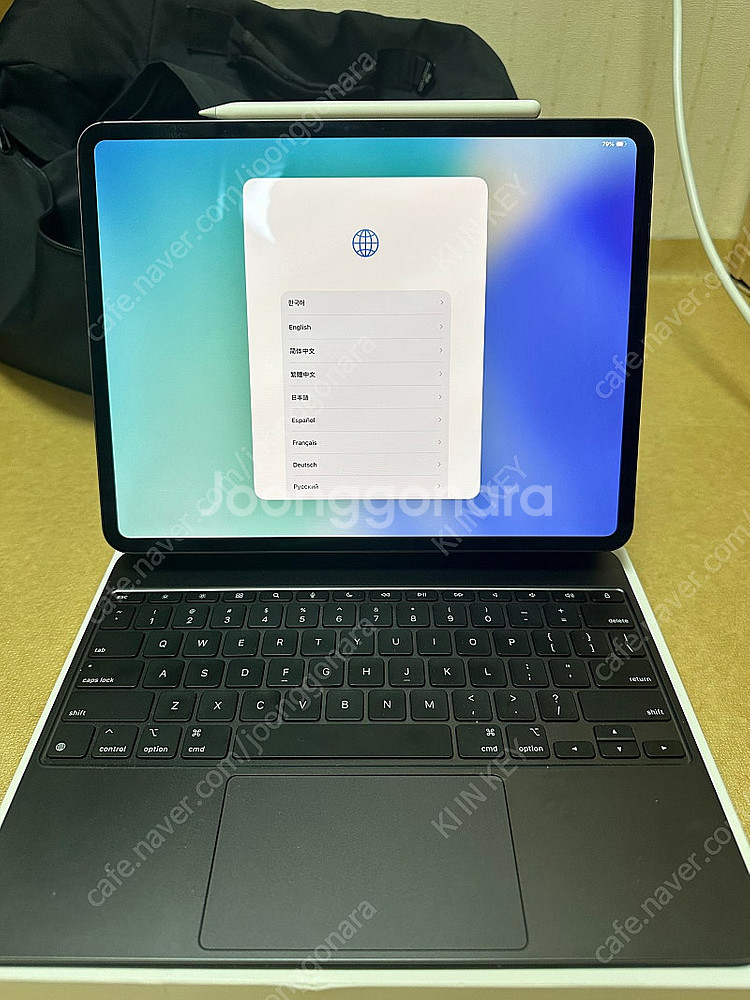 아이패드 프로 M4 13인치 256GB 셀룰러 / 매직...--1