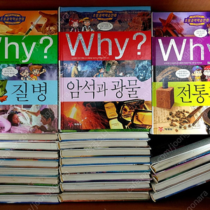 Why? 와이 초등과학 학습만화 67권(와이책) 광주