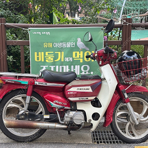 시티100 씨티100 시티백 씨티백 2003년식