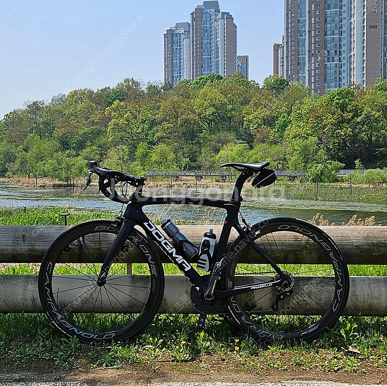 피나렐로 도그마 F8 싸이클 자전거 (530 사이즈, 울테그라Di2 구동계, BORA ONE 50 휠셋)--0