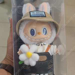팝마트 봄피라 라부부