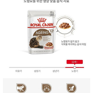 로얄캐닌 에이징12+ 고양이습식 파우치