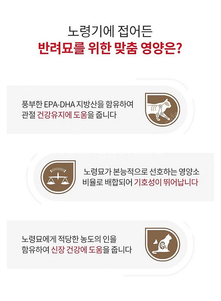로얄캐닌 에이징12+ 고양이습식 파우치--1