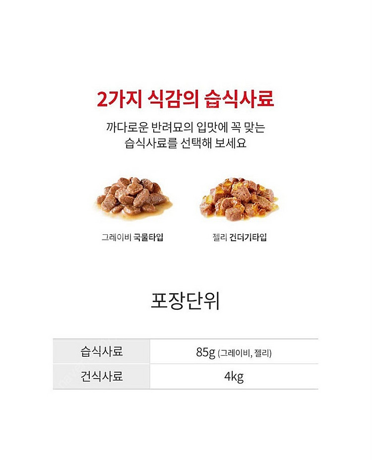 로얄캐닌 에이징12+ 고양이습식 파우치--2
