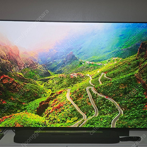 2024년형 LG전자 올레드 evo 83인치 스탠드형(OLED83C3QNA)