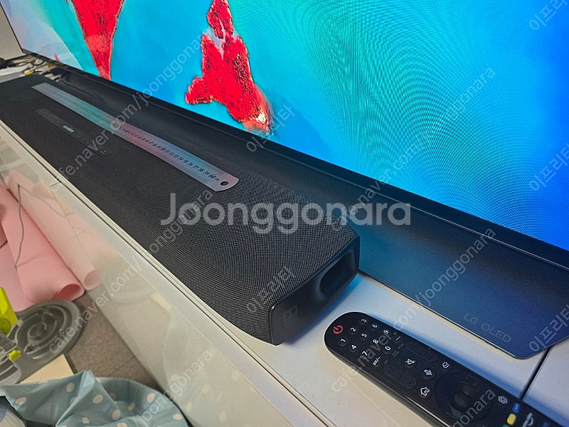 2024년형 LG전자 올레드 evo 83인치 스탠드형(...--1