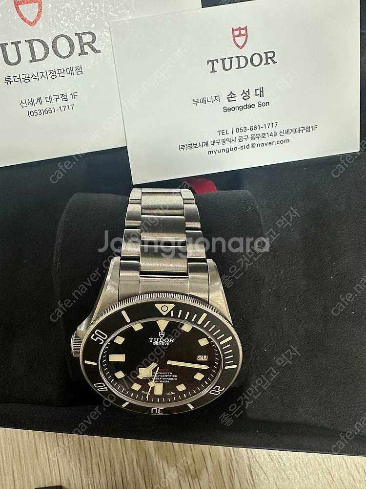 튜더펠라고스42LHD 24년8월 스테핑. 신세계 백화점...--6