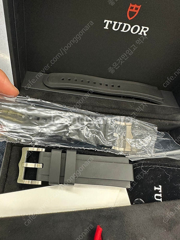 튜더펠라고스42LHD 24년8월 스테핑. 신세계 백화점...--9