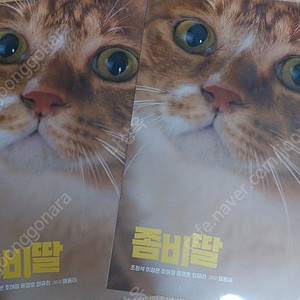 좀비딸 스페셜티켓 ttt 엽서 포스터 팝니다.