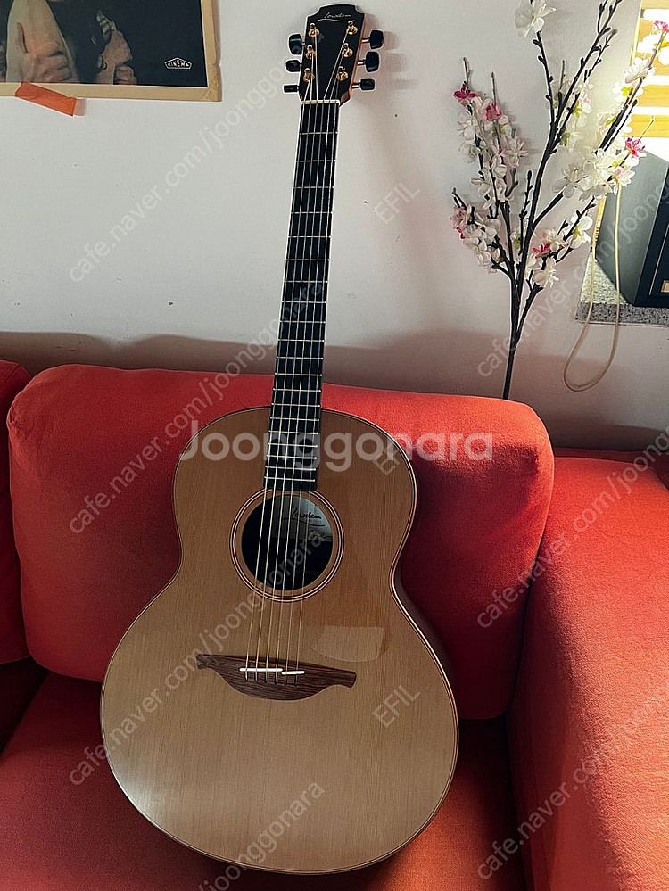 Lowden 로우든 F25 신품급 라우덴, 로우덴 어쿠...--0