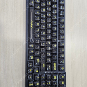 f98 독거미 (택포3만)