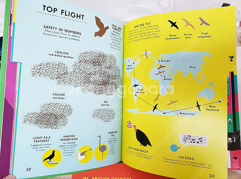 인포메이션 그래픽 디자인 책. 동물의 왕국. 아트.미술--1