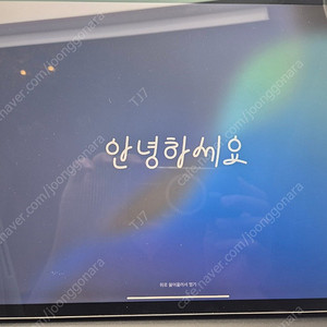 아이패드 프로 3세대 12.9 64gb wifi