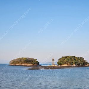 네이버 멤버십 8/9부터 1년권 1자리 팝니다