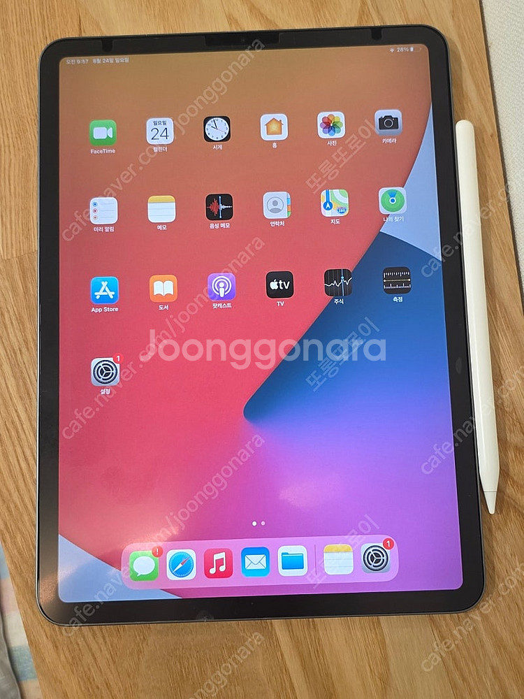 아이패드 11프로 1세대 256g + 애플펜슬 2세대--0