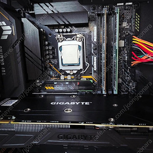 i5-11400 + Asus B560m + 32gb + nvme 256gb pcle4.0