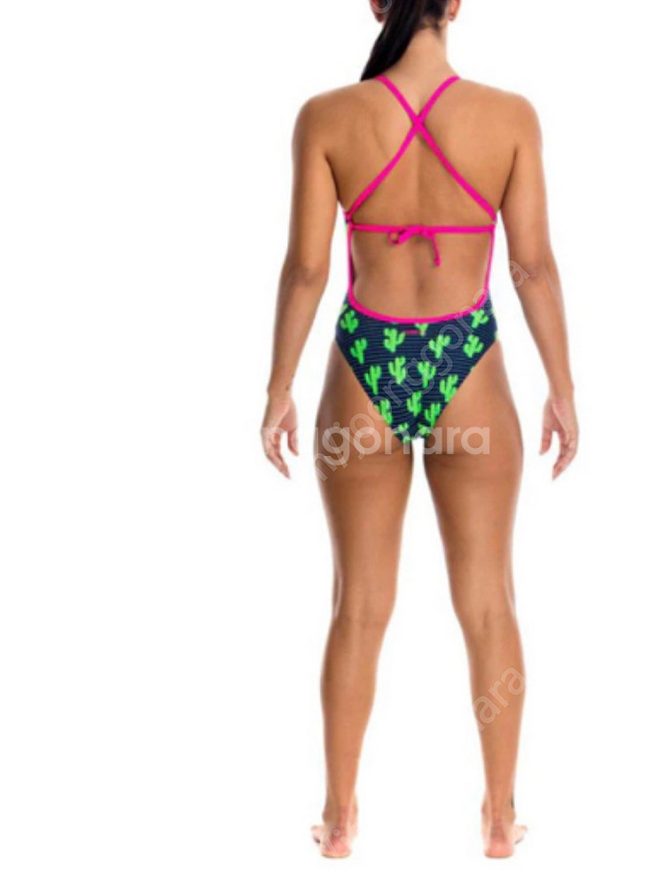 펑키타 선인장 판매 (걸 14)--2