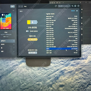 아이패드프로 4세대 12.9 셀룰러 1테라 애플펜스 포함