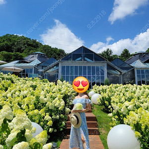아뜨랑스 오프숄더 시스루 원피스