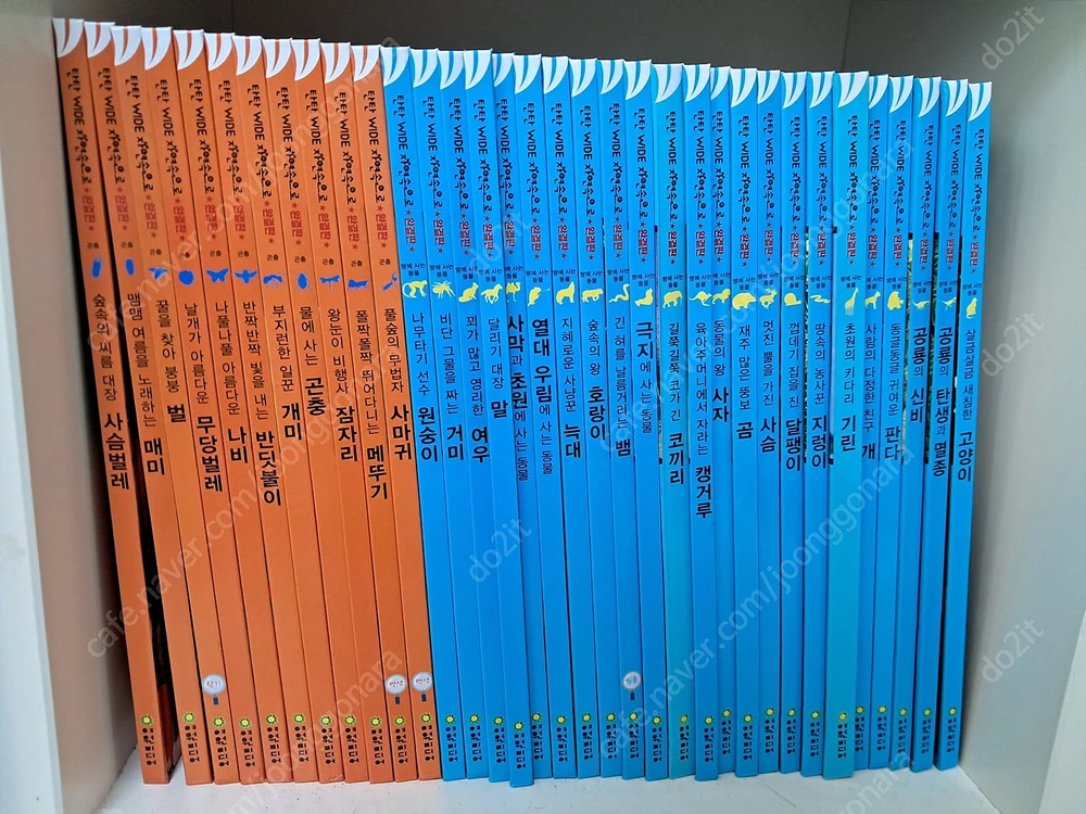 탄탄 자연속으로 와이드 100권 풀세트 팝니다 (매우 깨끗) 이미지