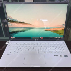 급처 ** 풀업글 고사양 10세대 LG 그램 노트북 판매합니다.
