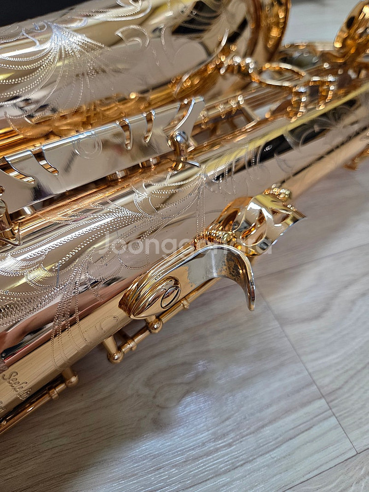 알버트웨버 테너색소폰 T96-GP 깨끗한 중고 판매합니다.--6