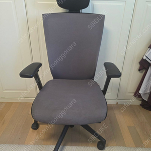 시디즈 t50