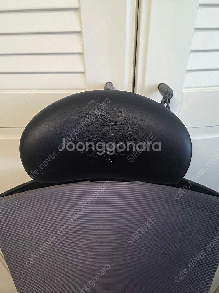 시디즈 t50--1