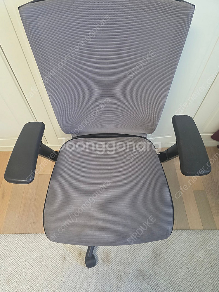 시디즈 t50--2