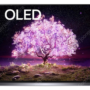 LG 48인치 OLED TV 모니터 48C1ENB
