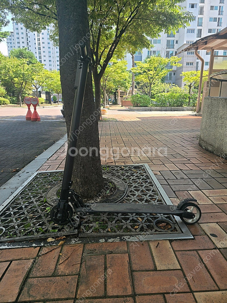 초경량 잭핫 키본 전동 킥보드(가방.그립.충전기,헬멧포...--0