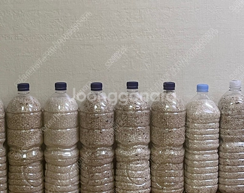 [잡곡 및 찹쌀]--0