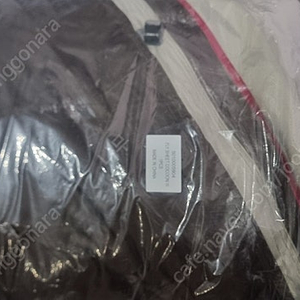 콜맨 코쿤3 스킨