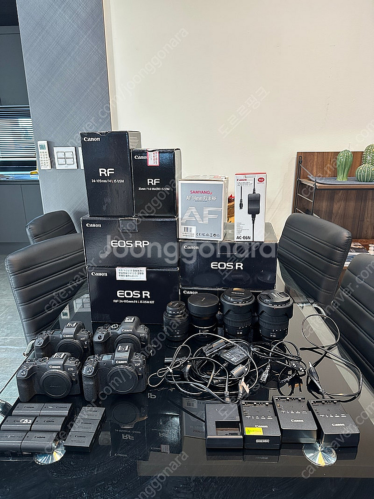 카메라+렌즈 다수 (eos r6 m2 / eos r /...--5