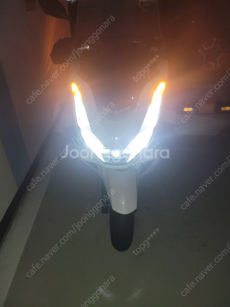 Pcx125 24년식--0