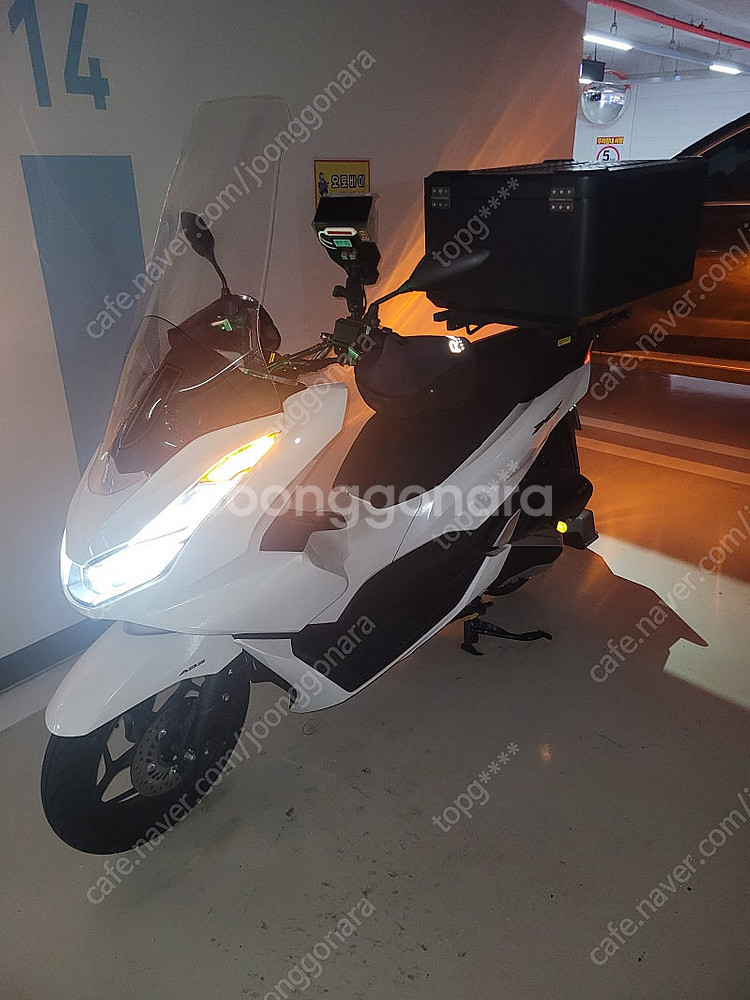 Pcx125 24년식--1