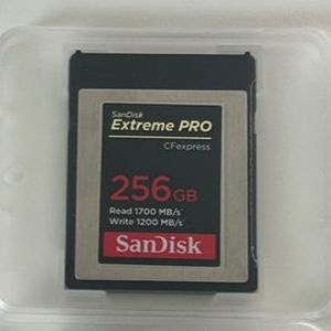 샌디스크 cfe-b, cfexpress type B 256기가