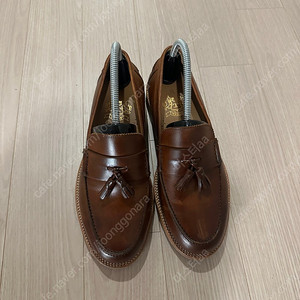 탠디 로퍼(250)새상품
